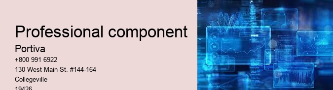 professional component